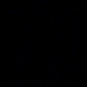 Meet your Posher, Jeesi